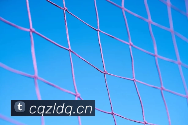 qy球友会·(千亿) - 官方网站APP 体育赛事宣传图